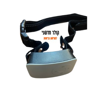 DogTrain10 main photo DogTrain10 main photo