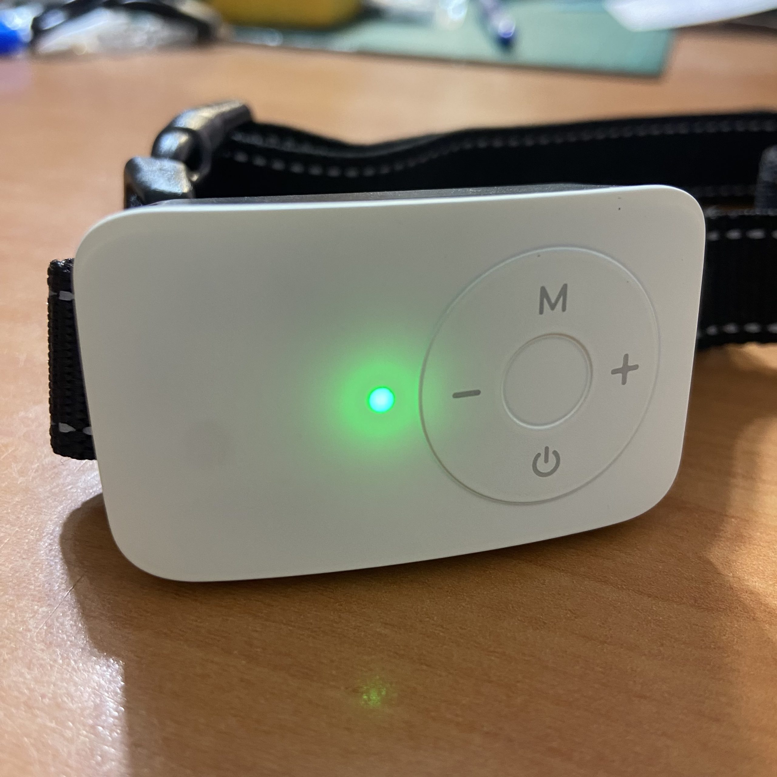 DogTrain10 working displey DogTrain10 working displey