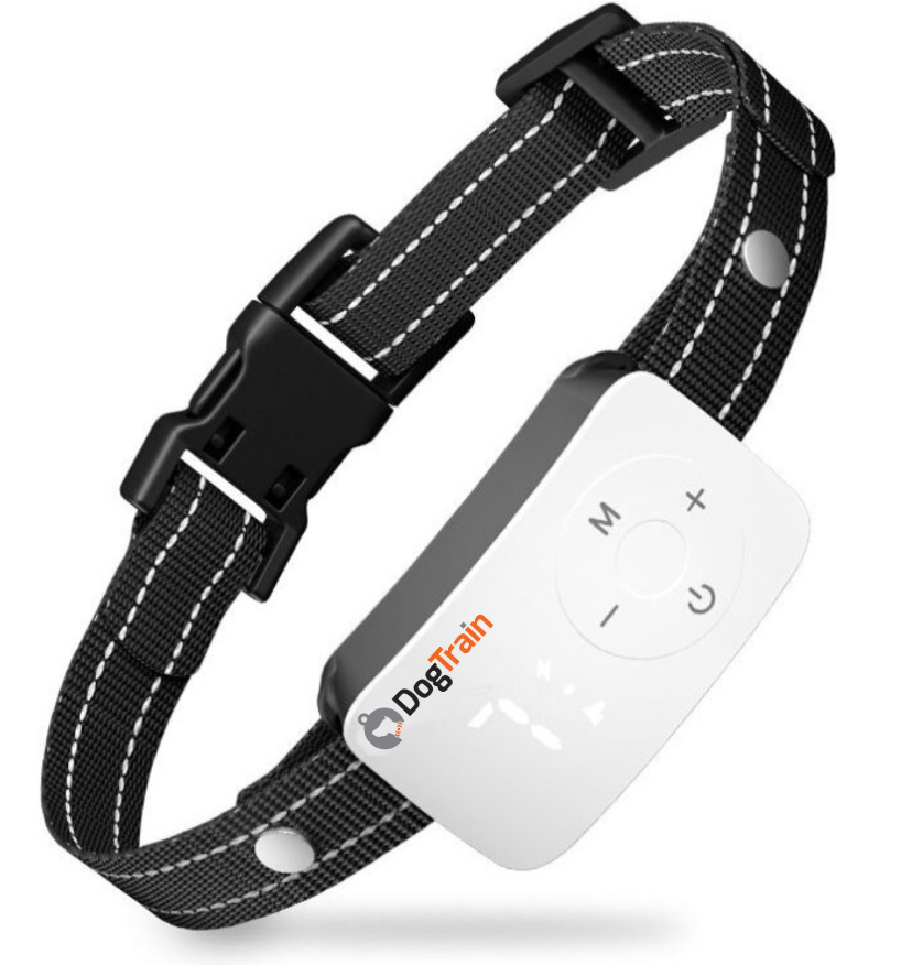 חזית הקולר חזית הקולר DogTrain10 קולר חדשני למניעת נביחות